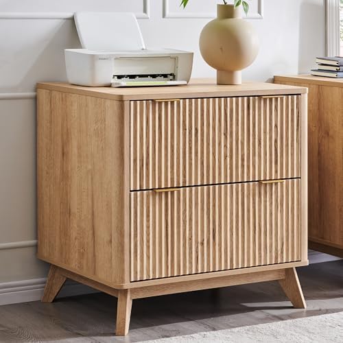 File Cabinet Lateral - Aktenschrank mit 2 Schubladen, 31,8 Zoll